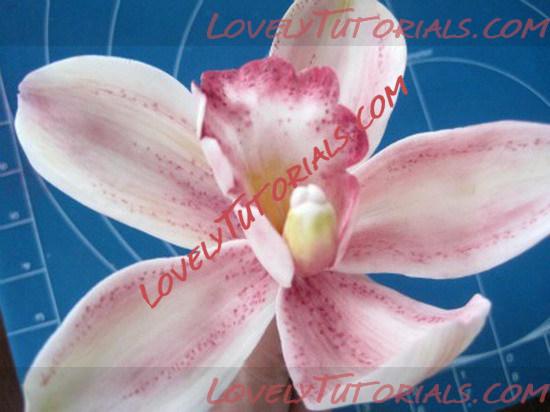 Название: orchid flower tutorial 20_resize.jpg
Просмотров: 21

Размер: 65.2 Кб