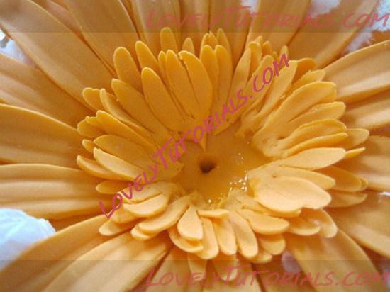Название: gerbra flower tutorial 24_resize.jpg
Просмотров: 0

Размер: 69.4 Кб