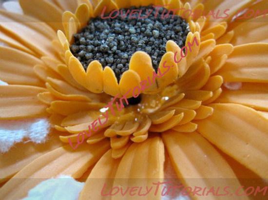 Название: gerbra flower tutorial 26_resize.jpg
Просмотров: 1

Размер: 77.3 Кб