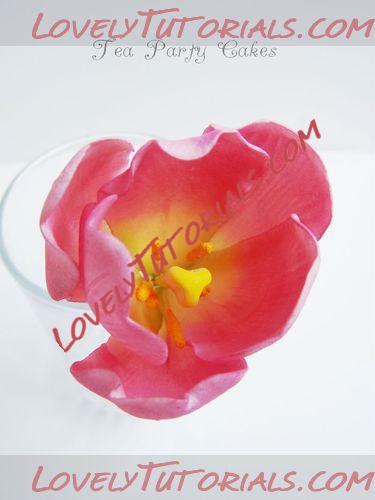 Название: Gumpaste Tulip Tutorial 20.jpg
Просмотров: 1

Размер: 15.6 Кб