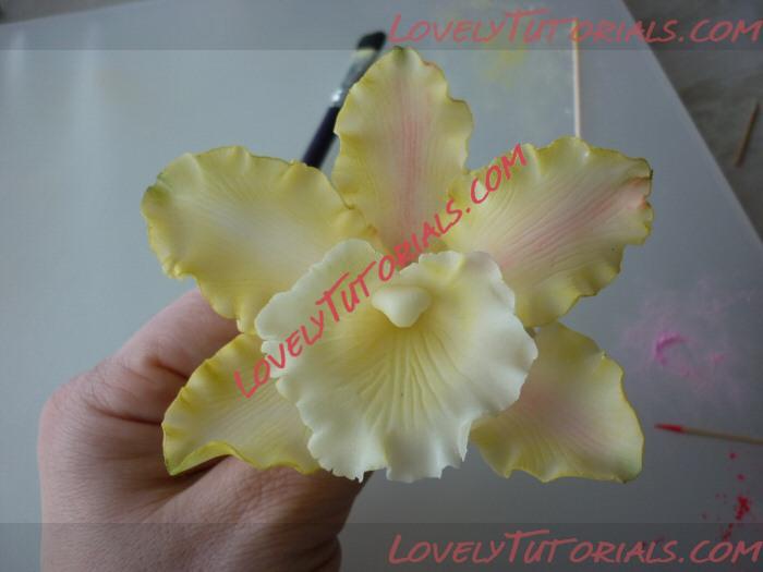 Название: Orchidea - 11.jpg
Просмотров: 0

Размер: 112.8 Кб