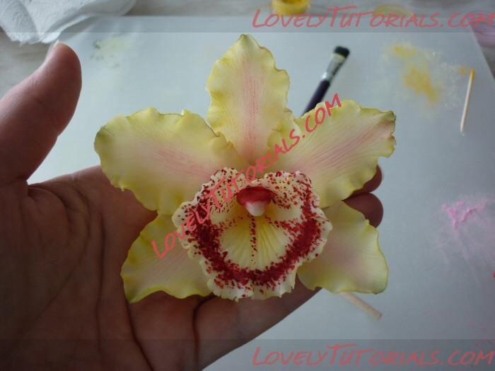 Название: Orchidea - 12.jpg
Просмотров: 0

Размер: 121.5 Кб