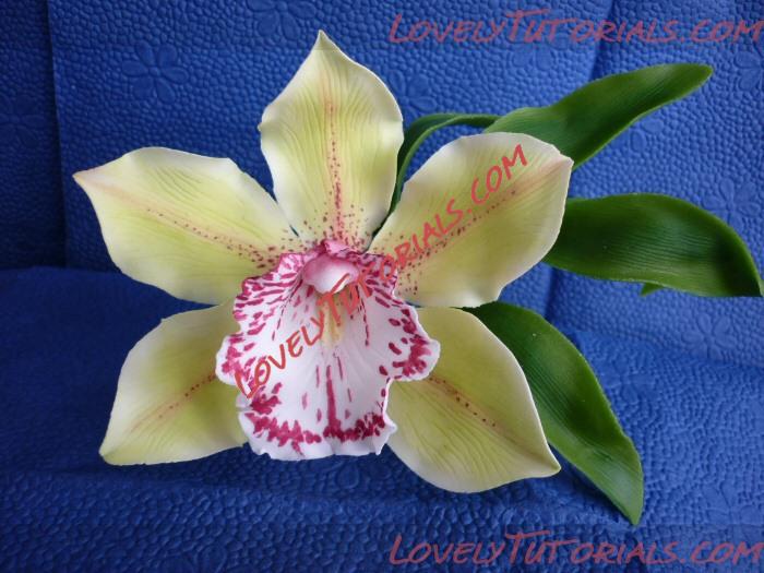 Название: Orchidea - 11.jpg
Просмотров: 3

Размер: 164.5 Кб