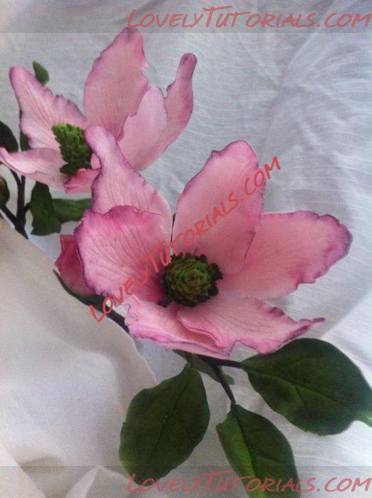 Название: Magnolia flower tutorial 1.jpg
Просмотров: 4

Размер: 46.5 Кб