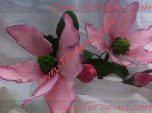 Название: Magnolia flower tutorial 6.jpg
Просмотров: 2

Размер: 25.4 Кб