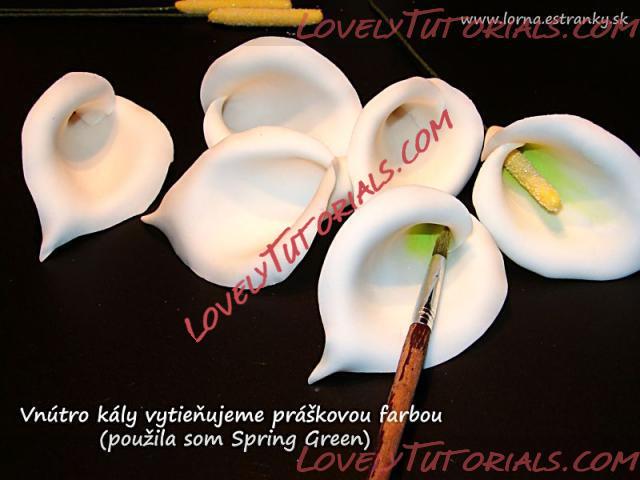 Название: Cala Lily flower tutorial 11.jpg
Просмотров: 0

Размер: 31.5 Кб