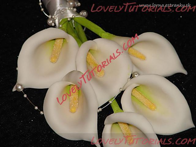 Название: Cala Lily flower tutorial 17.jpg
Просмотров: 0

Размер: 30.8 Кб