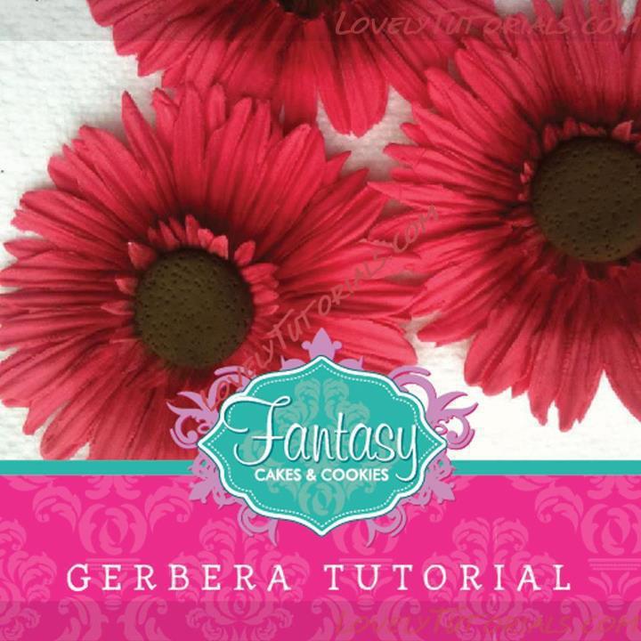 Название: gumpaste gerbera flower tutorial 1.jpg
Просмотров: 1

Размер: 70.4 Кб