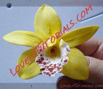 Название: orchidtut15.jpg
Просмотров: 62

Размер: 62.7 Кб