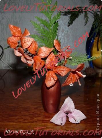 Название: bougainvillaea flower tutorial5.jpg
Просмотров: 15

Размер: 50.7 Кб