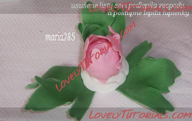 Название: 13.jpg
Просмотров: 0

Размер: 34.4 Кб