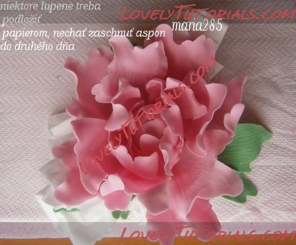 Название: 14.jpg
Просмотров: 0

Размер: 40.4 Кб