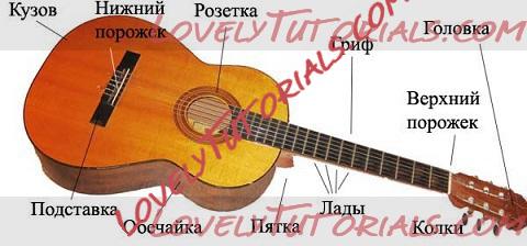 Название: guitar cake tutorial 2.jpg
Просмотров: 0

Размер: 61.5 Кб