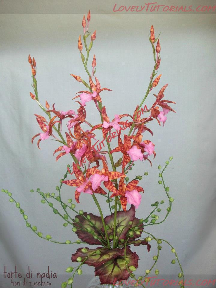 Название: sugar flowers 2.jpg
Просмотров: 1

Размер: 79.7 Кб