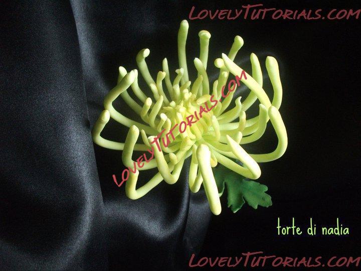 Название: sugar flowers 5.jpg
Просмотров: 0

Размер: 65.7 Кб