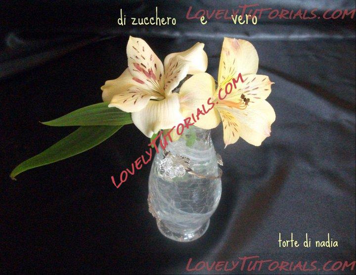 Название: sugar flowers 13.jpg
Просмотров: 0

Размер: 72.8 Кб