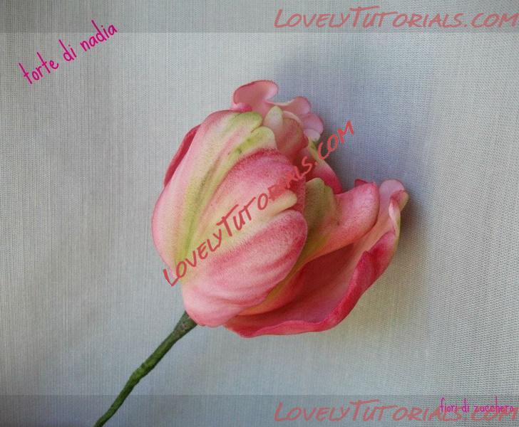 Название: sugar flowers 18.jpg
Просмотров: 1

Размер: 135.6 Кб