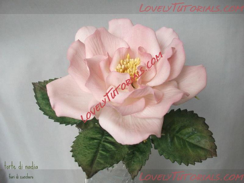 Название: sugar flowers 21.jpg
Просмотров: 0

Размер: 87.8 Кб