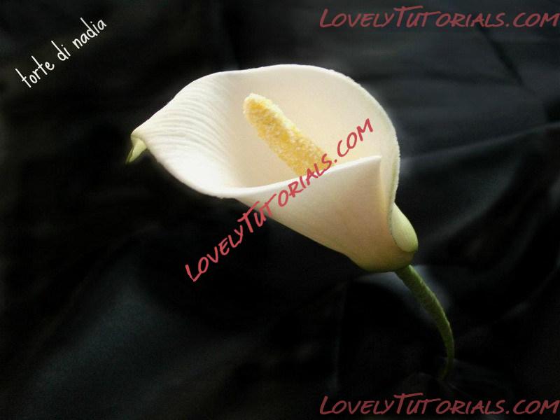 Название: sugar flowers 24.jpg
Просмотров: 1

Размер: 64.1 Кб