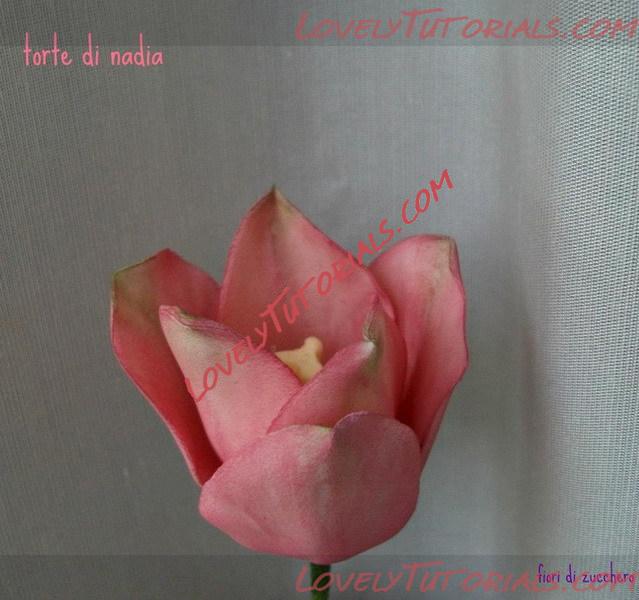 Название: sugar flowers 28.jpg
Просмотров: 0

Размер: 91.1 Кб