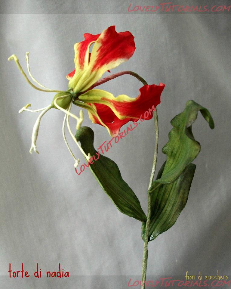 Название: sugar flowers 29.jpg
Просмотров: 0

Размер: 77.6 Кб