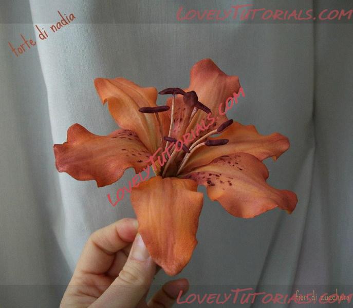 Название: sugar flowers 31.jpg
Просмотров: 0

Размер: 86.8 Кб