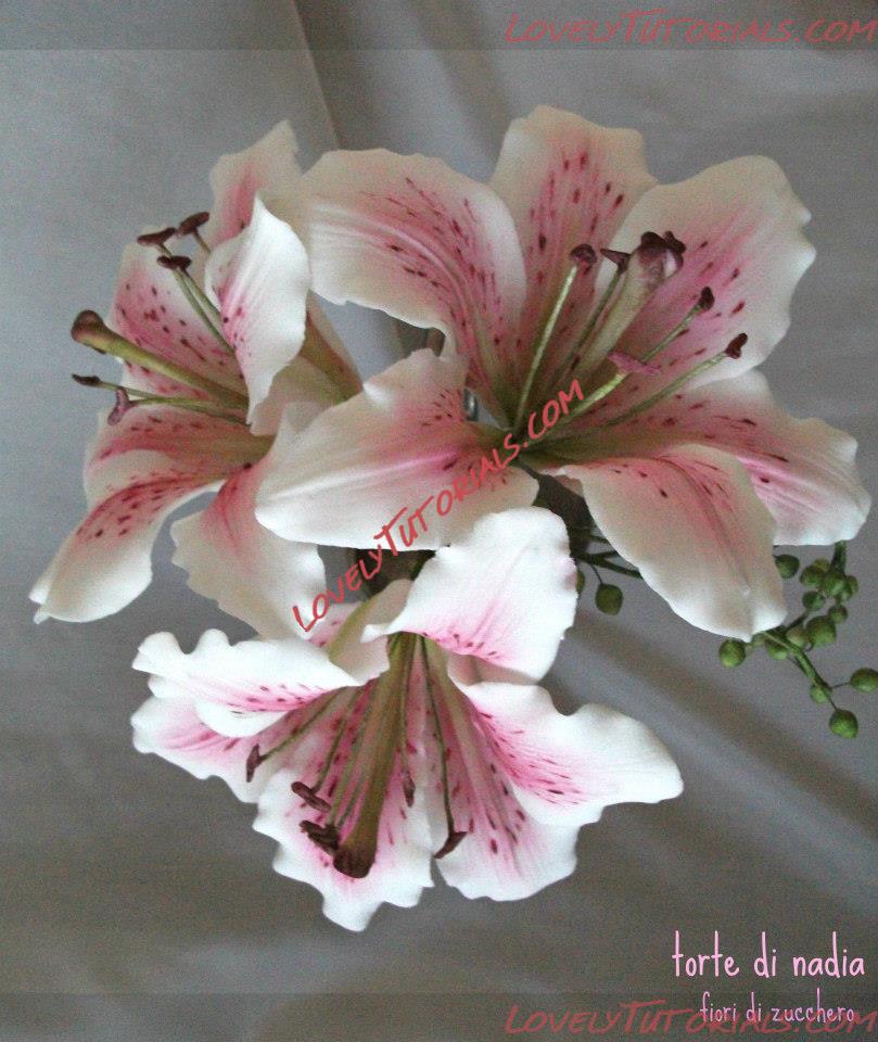 Название: sugar flowers 33.jpg
Просмотров: 0

Размер: 99.2 Кб