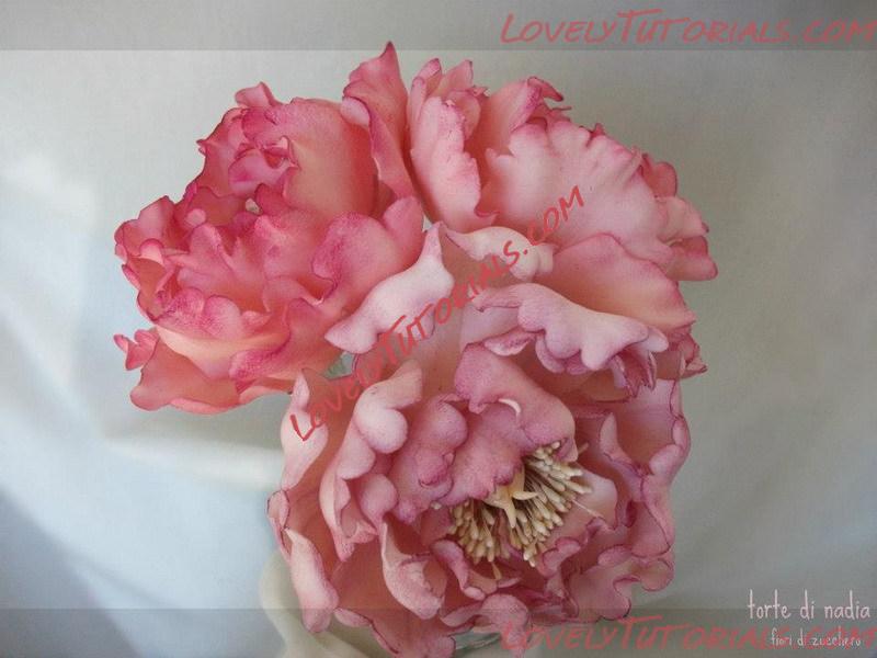 Название: sugar flowers 35.jpg
Просмотров: 0

Размер: 96.5 Кб