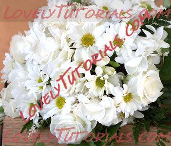 Название: white flowers 26.jpg
Просмотров: 0

Размер: 35.4 Кб