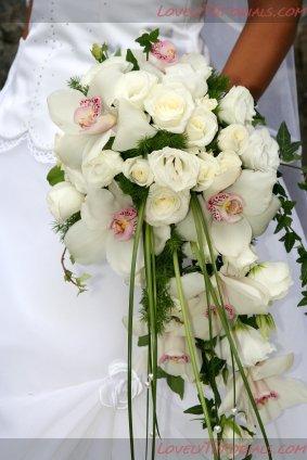Название: white flowers 37.jpg
Просмотров: 0

Размер: 28.3 Кб