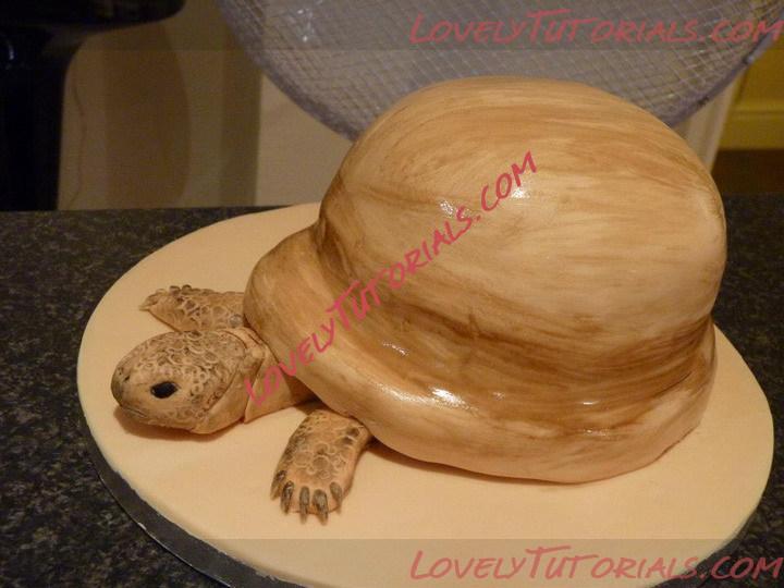 Название: turtle cake tutorial 14.jpg
Просмотров: 1

Размер: 89.0 Кб