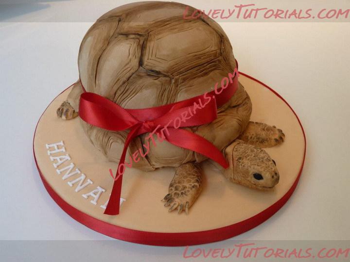 Название: turtle cake tutorial 18.jpg
Просмотров: 1

Размер: 75.2 Кб