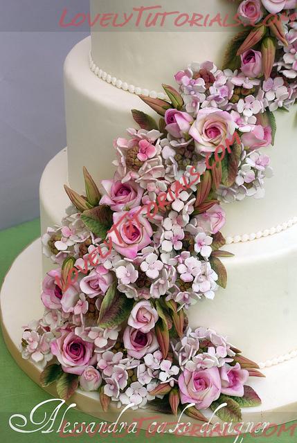 Название: 1Alessandra Cake Designer2 roses and hydrangeas.jpg
Просмотров: 0

Размер: 190.2 Кб
