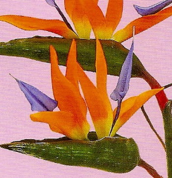 10 25 2011 12 47 14 PM