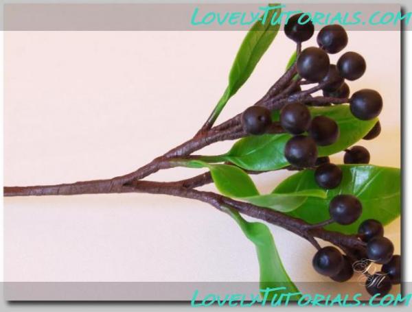 Лигуструм (бирючина) 11243#post11243