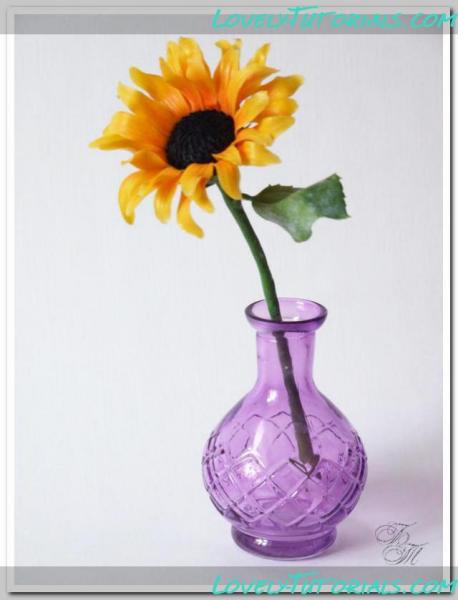 подсолнух 11240#post11240