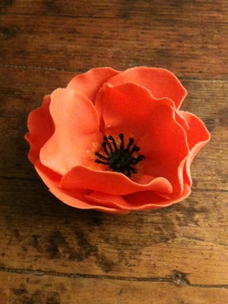foto (11)
Poppy
