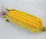 1 Livro de Anna Modugno (rev 1 2 e 3) n 1 104 2