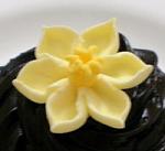 Cupcake Chocolate Daffodils