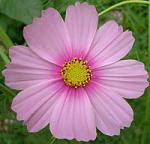 5821507930 30bf833b4e